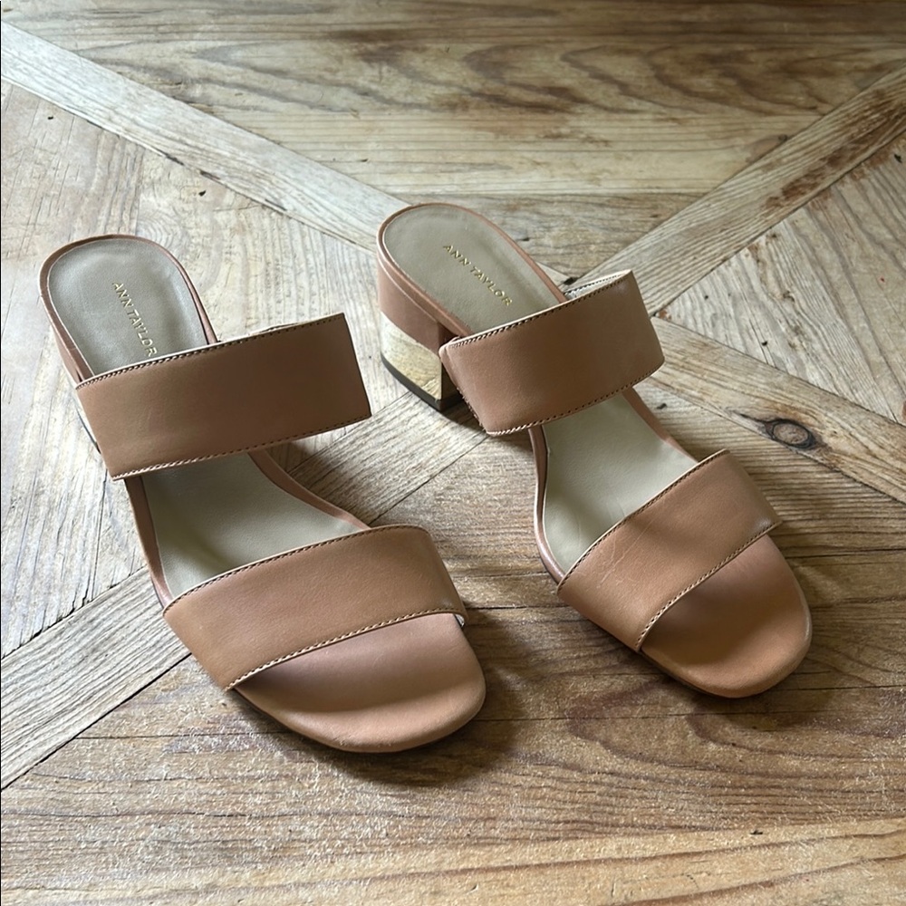 Ann Taylor Liv